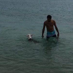 Meet your Posher, Jonah